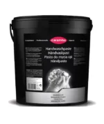 Handwaschpaste 10L
